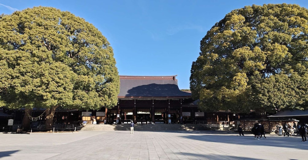 Picture 2 for Activity Tokyo: Meiji Shrine Private Walking Tour with Local Guide 2