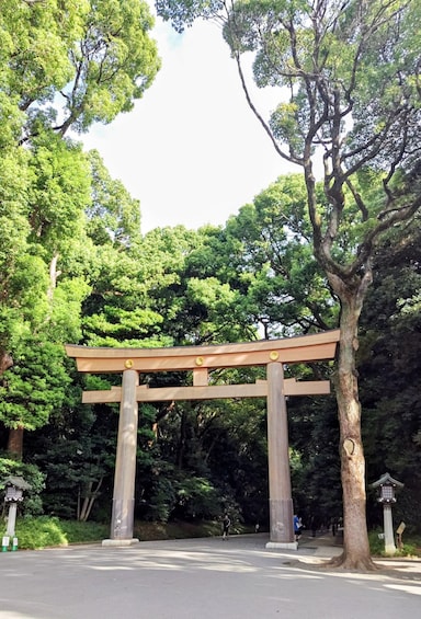 Tokyo: Meiji Shrine Private Walking Tour with Local Guide 1