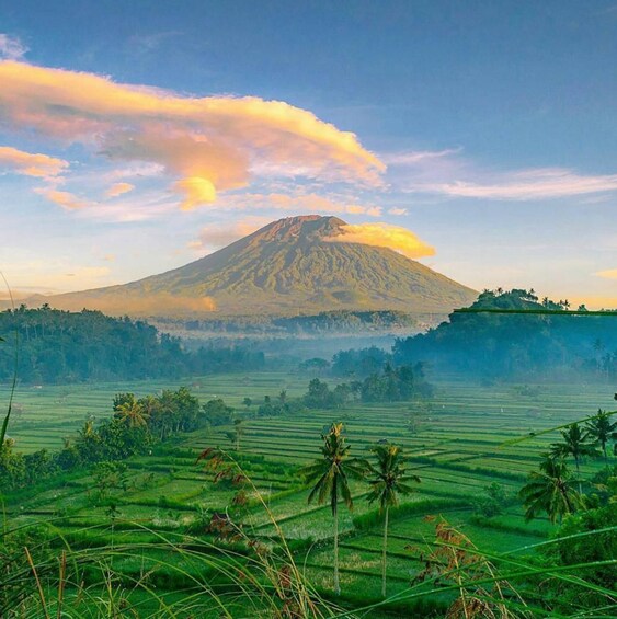 A mountain with a forested base and a clear sky. 1