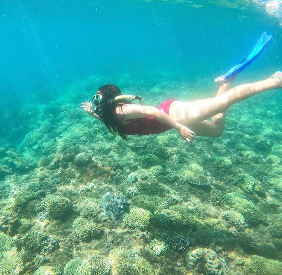 Picture 7 for Activity Bali: Sunrise Bukit Cinta, Tirta Gangga & Snorkeling Tour 4