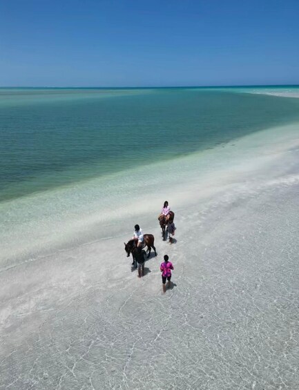 A beach with clear water and a person riding a horse. 3