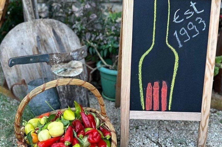Traditional Albanian Food and Wine Tasting 2