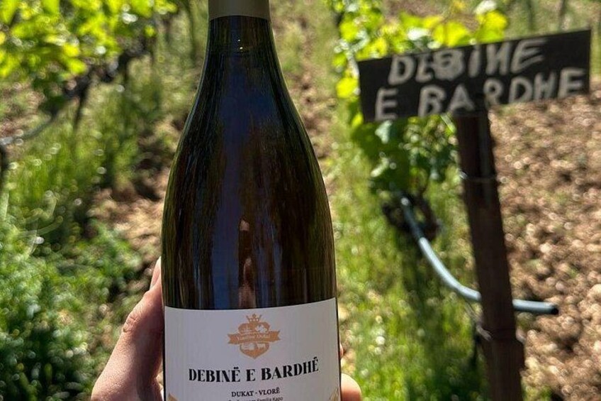 A hand holding a bottle of wine with a label that reads 'DEBINE E BARDHE' and 'DUKAT-VLORF.' In the background, there is a vineyard with green foliage and a sign that says 'DEBINE E BARDHE.' 4