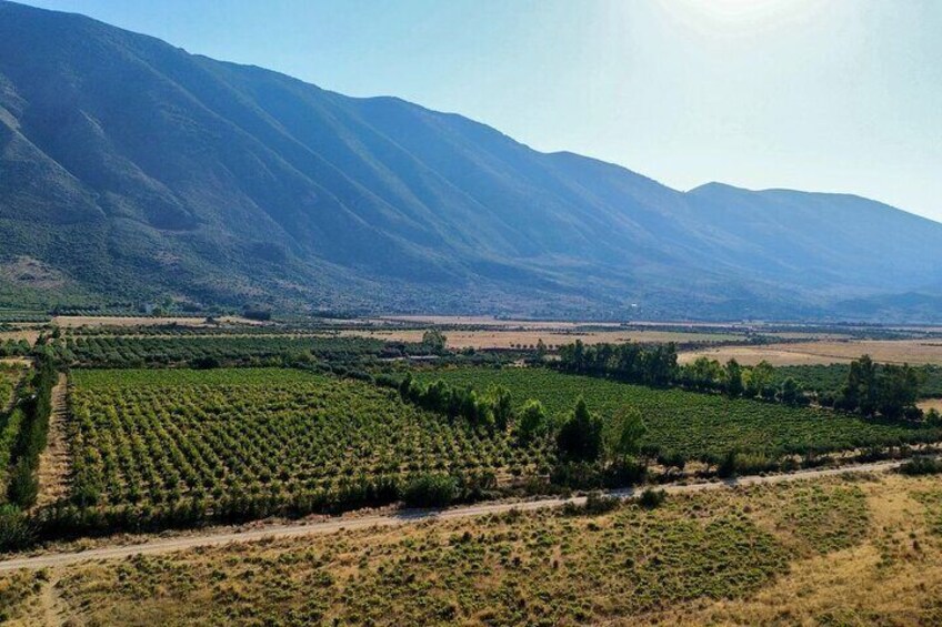 Traditional Albanian Food and Wine Tasting 3