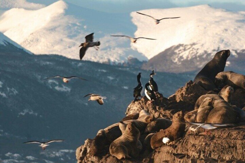 A rocky mountain landscape with birds flying and resting on the rocks. 5