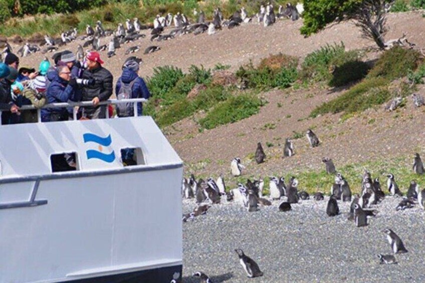 A group of penguins on a rocky shore with a boat and people observing. 3