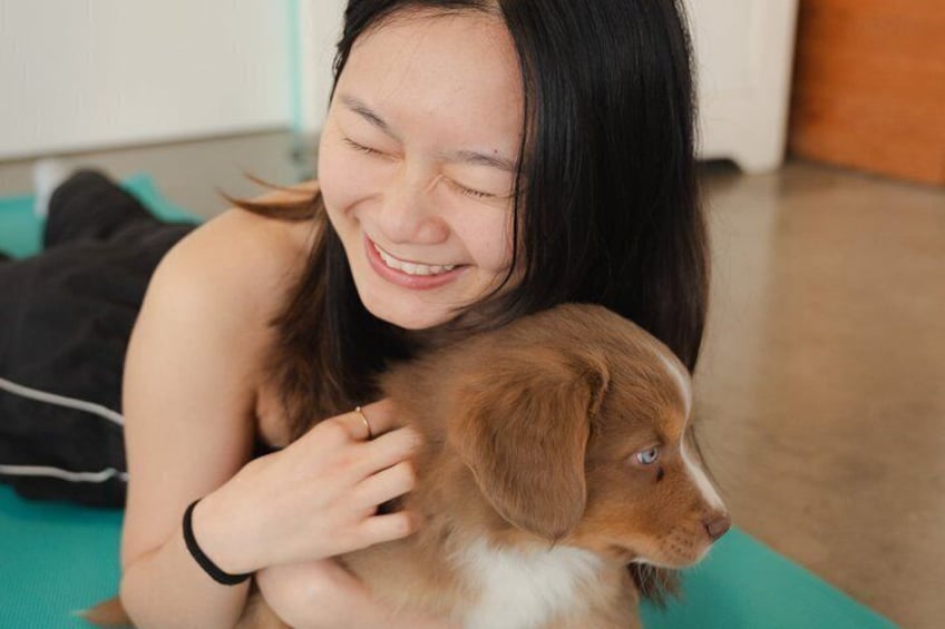 Private Puppy Yoga Activity 3