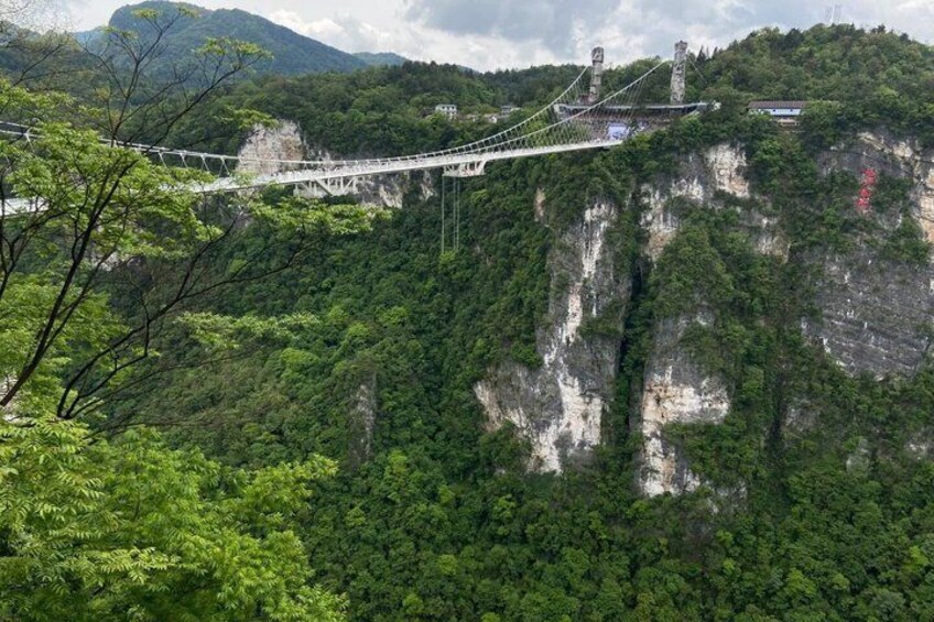 Zhangjiajie Glass Bridge & Tea Garden Tour 3