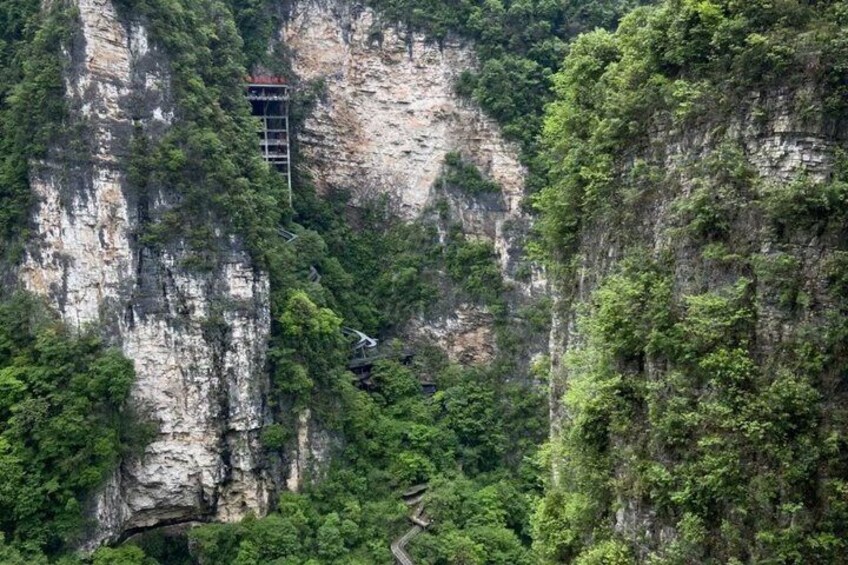 Zhangjiajie Glass Bridge & Tea Garden Tour 2