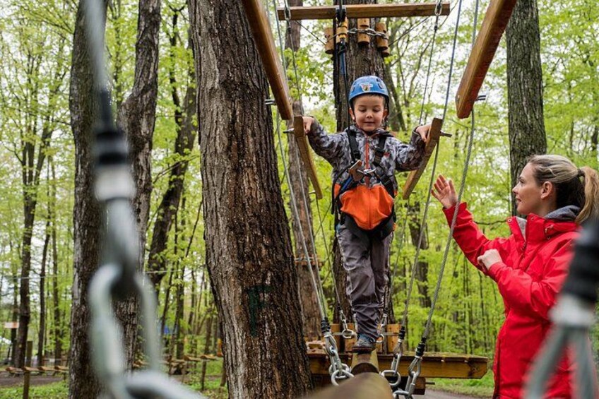 Discovery Kids Course Treetop Trekking Hamilton 4