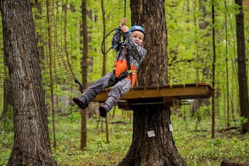 A person zip-lining through a forest. 3