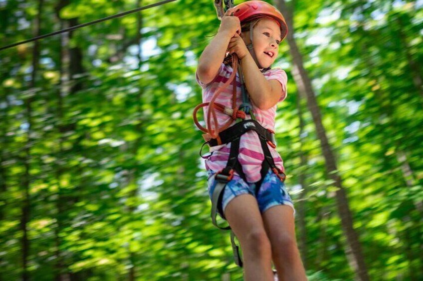 A person zip-lining through a forest. 2