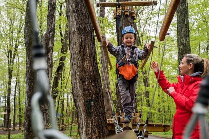 Discovery Kids Course Treetop Trekking Hamilton 4