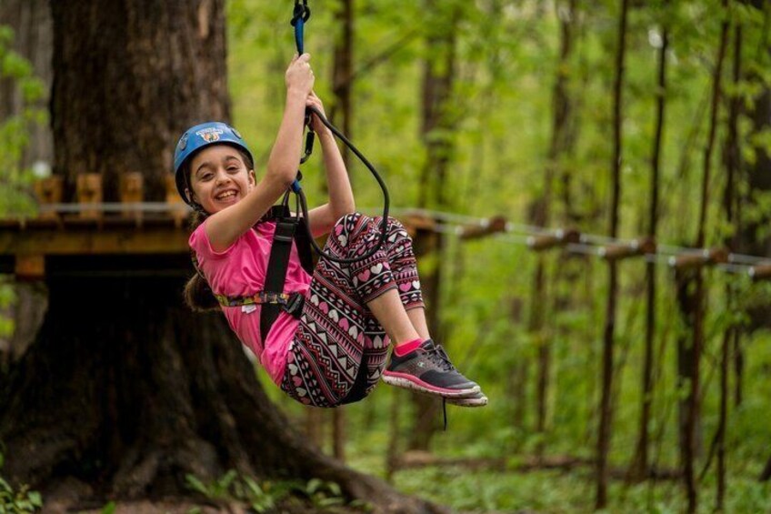 Discovery Kids Course Treetop Trekking Hamilton 2