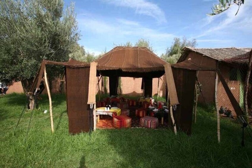 Cooking classes at organic vegetable garden 2