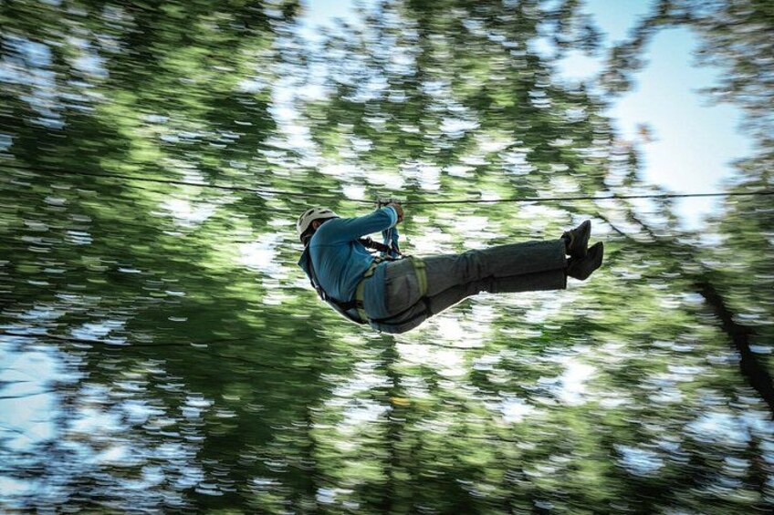 Treetop Trekking Hamilton Zipline and Aerial Game Trek 4