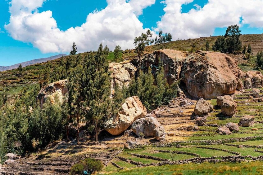 Terraced fields, large boulders, and dense trees in a mountainous landscape. 1