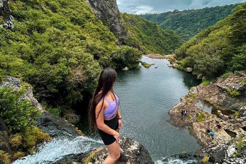 A person standing on a rock by a river surrounded by greenery. 3