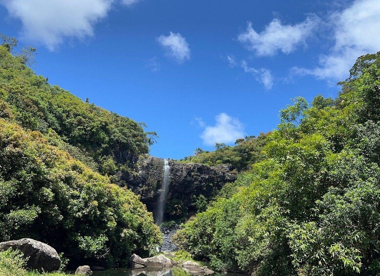 A waterfall surrounded by lush greenery and a clear blue sky. 5