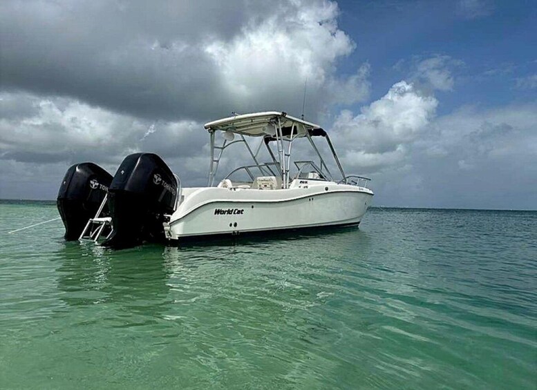 Picture 6 for Activity Grand Cayman: Private Family Friendly Stingray City Tour 2