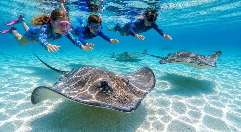 Picture 1 for Activity Grand Cayman: Private Family Friendly Stingray City Tour 5