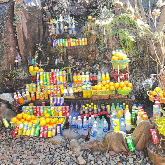 A display of various beverages and fruits arranged on rocks and shelves in a natural setting. 3