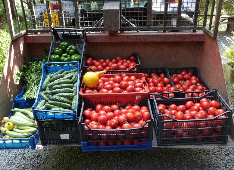 Picture 6 for Activity Val di Vara: Organic Farm Garden Tour & Aperitif 3