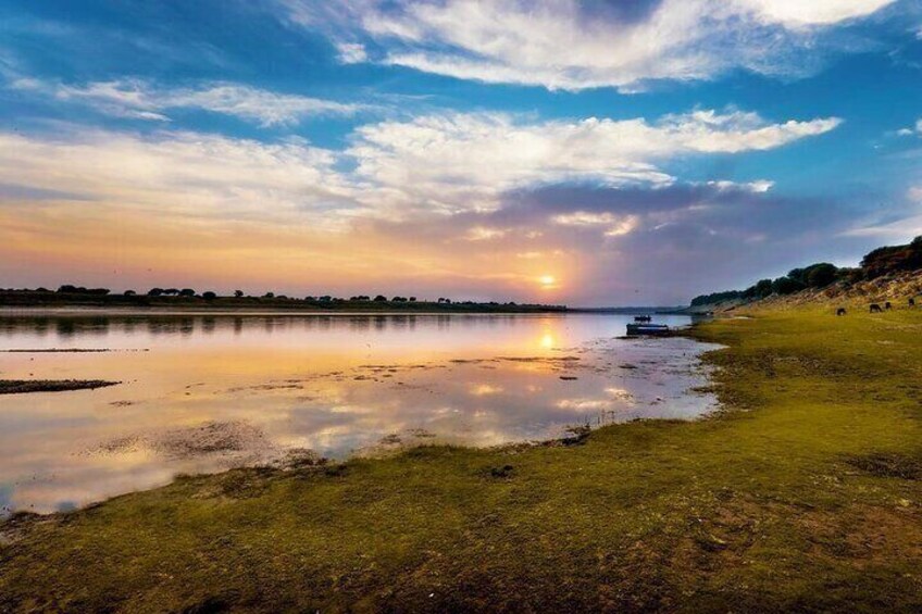 Half Day Chambal River Safari Tour from Ranthambore 4