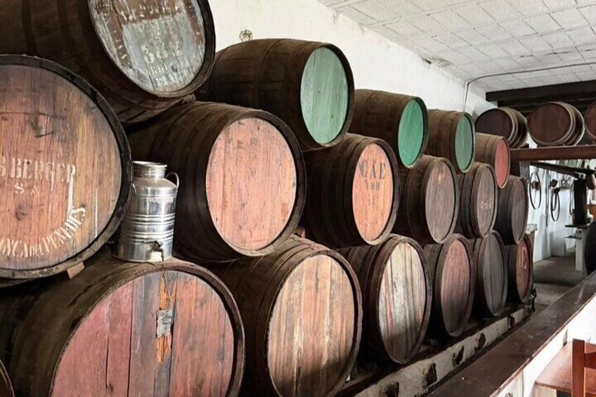 Suarez Winery - La Geria, Lanzarote 4