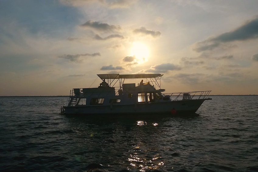 Isla Mujeres Beach & Snorkel with Shared Sea Scooters 5