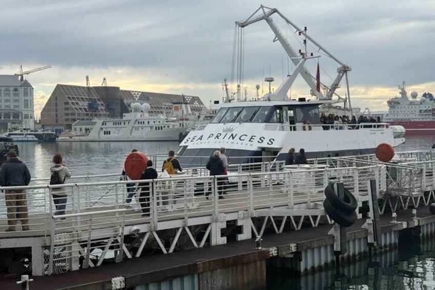 Robben Island Half-Day Tour & Former Prisonetr Guide tickets 5