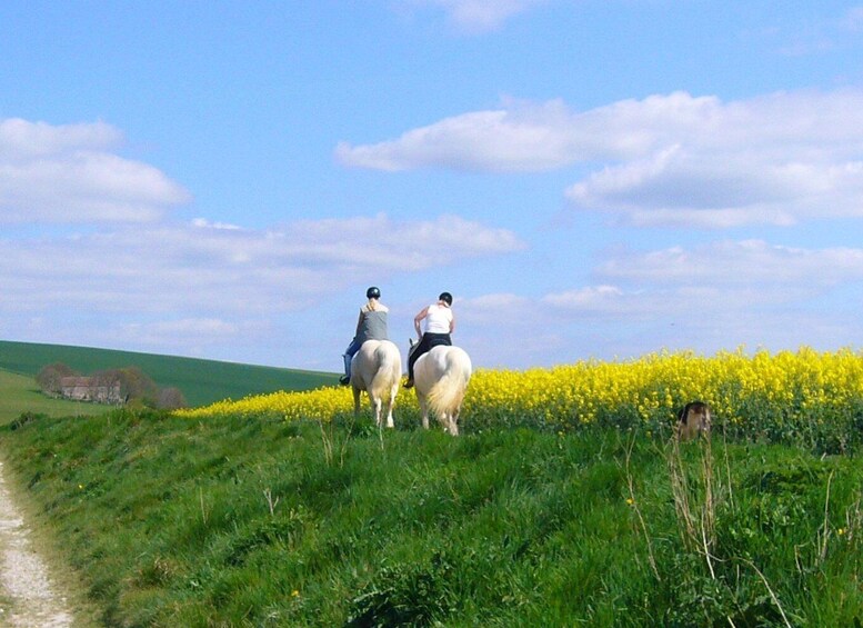 From Thun: Scenic Horseback Ride Through Countryside 1