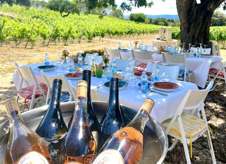 A vineyard with tables set for an outdoor dining event, featuring wine bottles and glasses. 3