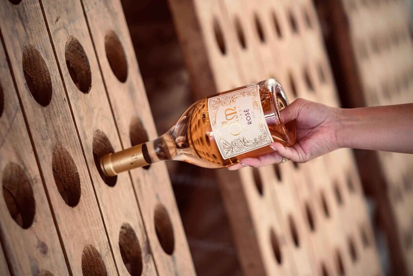 Melgaço: Discovery Wine Tasting 1