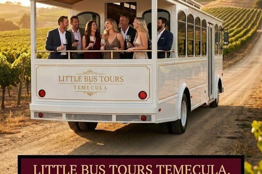 Luxury Temecula Wine Tour 3 Wineries in a Trolley Bus or SUV 1