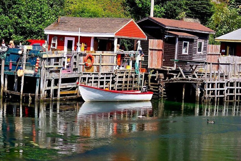 Newfoundland A Coastal Journey Private Tour 3-4 Guests (5-6 Hrs) 3