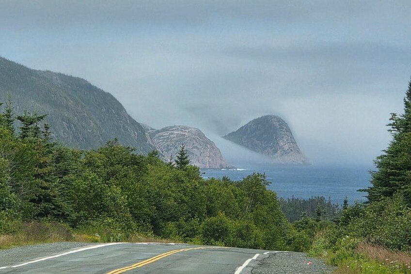 Newfoundland A Coastal Journey Private Tour 3-4 Guests (5-6 Hrs) 2