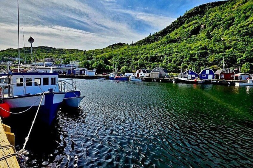 Newfoundland A Cooastal Journey Private Tour 3 / vehicle 6 Hrs 3
