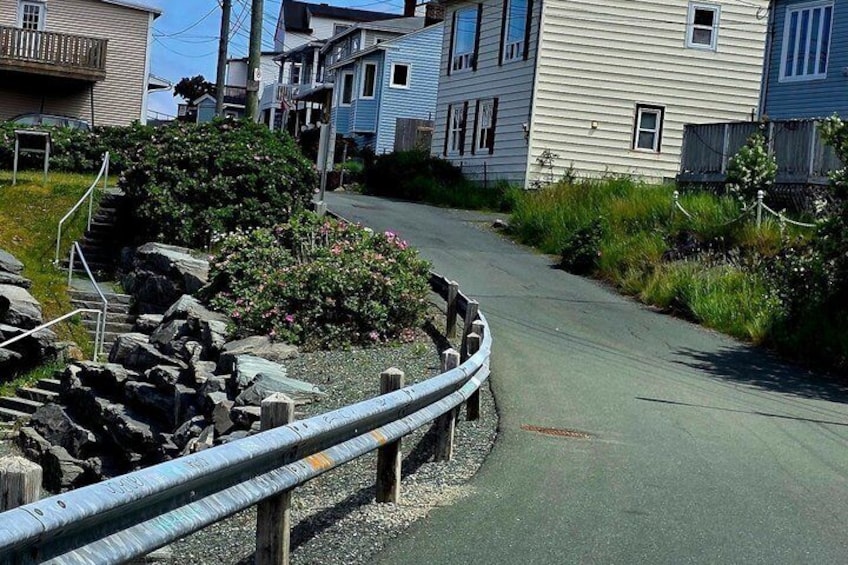 Newfoundland Coastal Journey 2