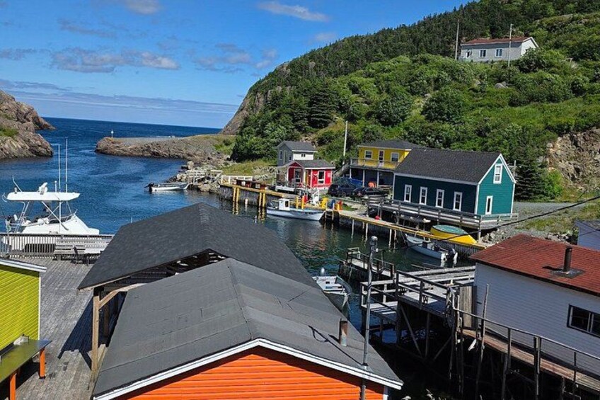Newfoundland A Coastal Journey Private Tour 3-4 Guests (5-6 Hrs) 4