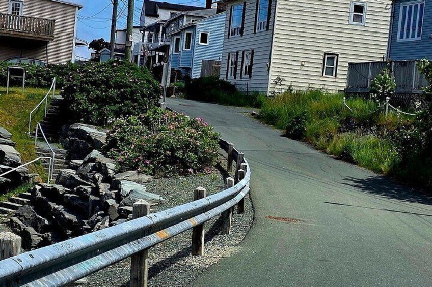 Newfoundland A Cooastal Journey Private Tour 3 / vehicle 6 Hrs 2