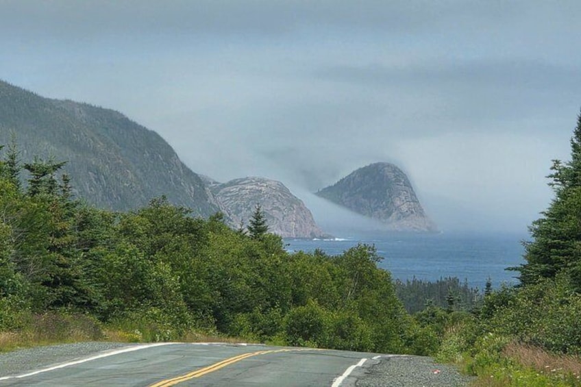Newfoundland A Cooastal Journey Private Tour 3 / vehicle 6 Hrs 2