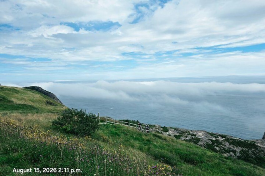 Newfoundland A Cooastal Journey Private Tour 3 / vehicle 6 Hrs 2
