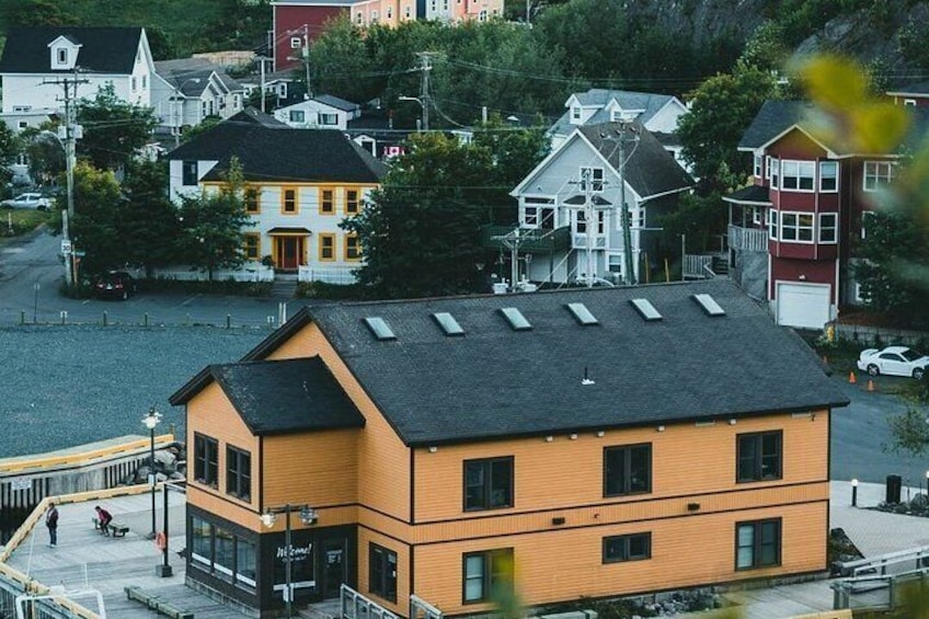 Newfoundland A Cooastal Journey Private Tour 3 / vehicle 6 Hrs 2