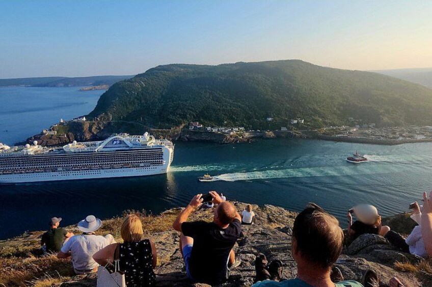 Newfoundland A Coastal Journey Private Tour 3-4 Guests (5-6 Hrs) 5