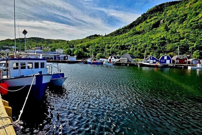 Newfoundland Coastal Journey 4