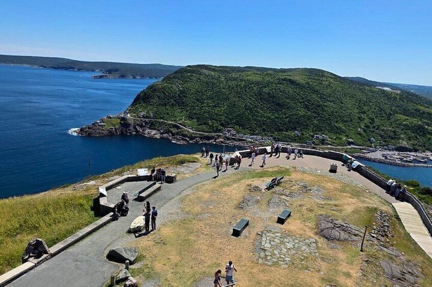 Newfoundland A Cooastal Journey Private Tour 3 / vehicle 6 Hrs 2