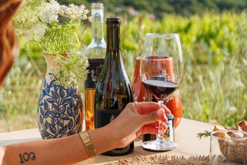 Wine Safari - Come grape hunting with us! 1