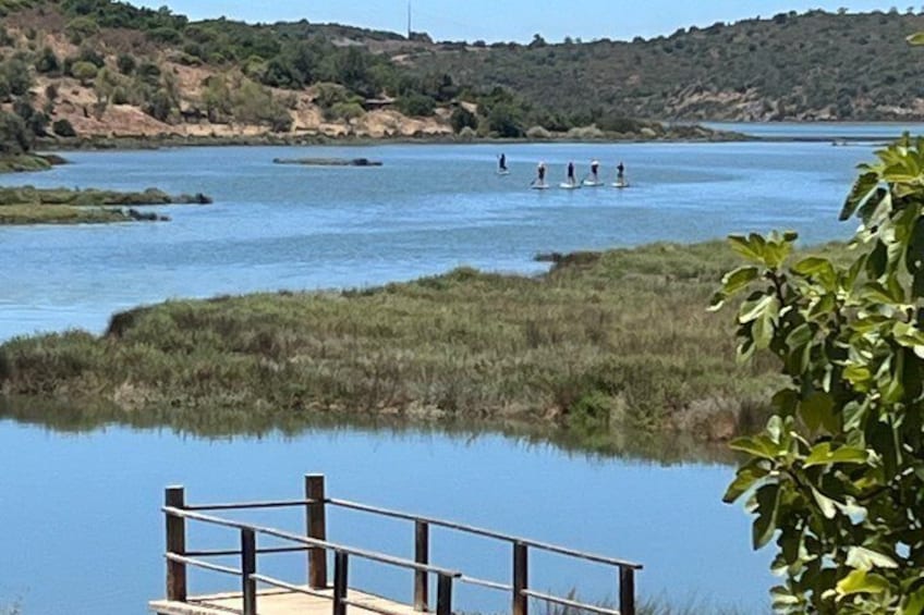 Picnic and Paddle Tour on the Arade River 1