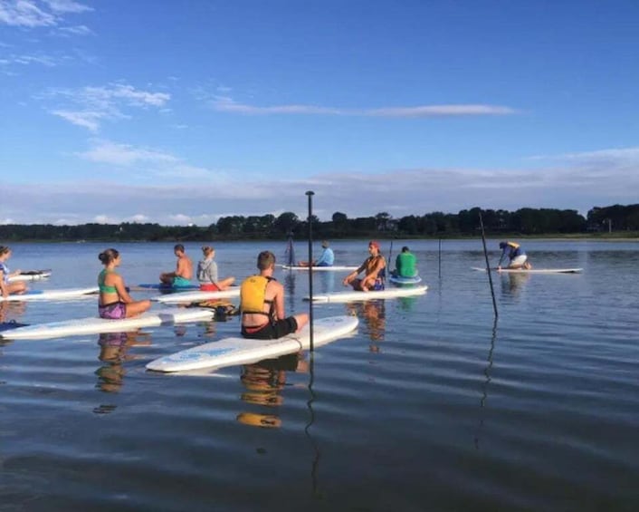 Oak Bluffs: Stand Up Paddle Board Tour for All Levels 1